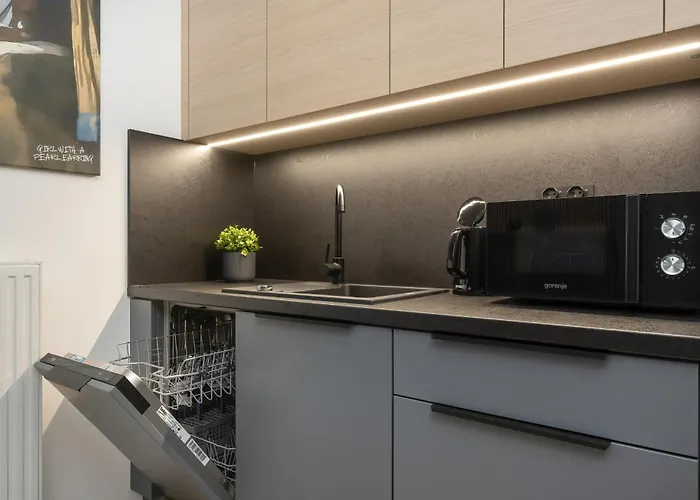 Apartman Gwiazdzista Elegant For 6 Guests With Balcony & Parking By Renters